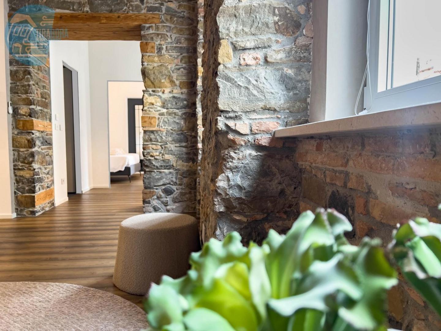 San Nicolo 14 Tirabora Short Rent Διαμέρισμα Τεργέστη Εξωτερικό φωτογραφία